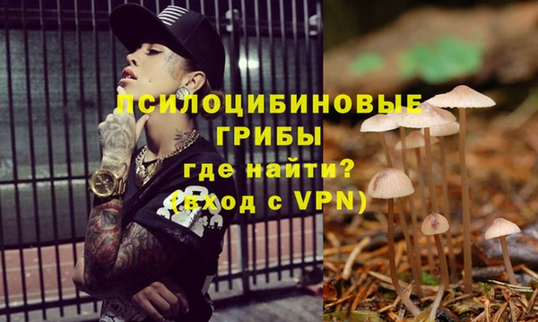 mdpv Инта