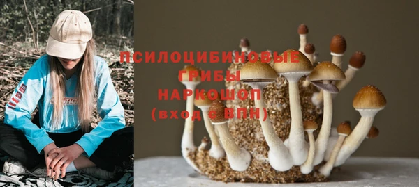 мет Иннополис